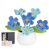 LAIDANLA Crochet Flowers Forget Me Not, Mini Gradient Blue Potted Plant for Desk, Handmade Christmas Birthday Graduation Gifts for Women Friends Teacher