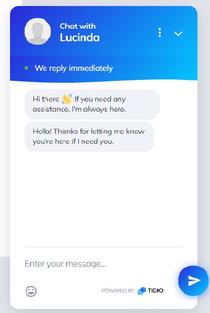 Tidio Live Chat Example